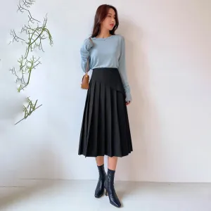 High Waist Pleated Panel Skirt