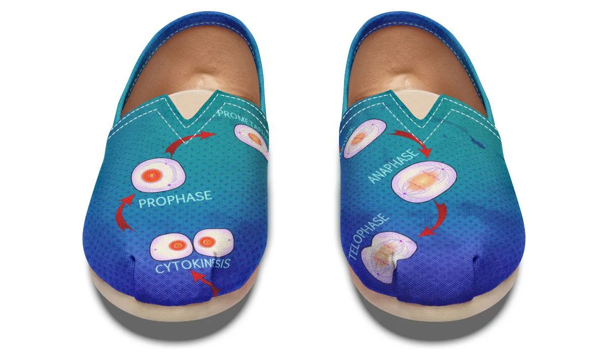 Mitosis Casual Shoes